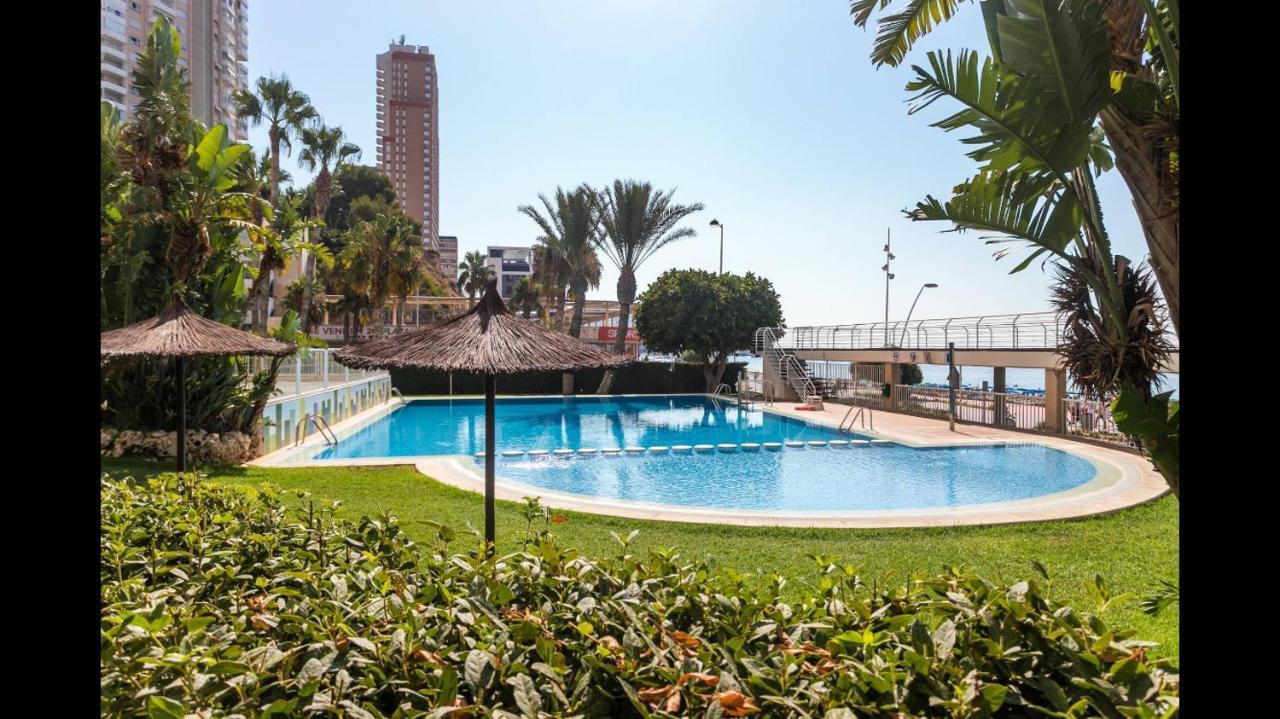 VIP Apartment Olivar Poniente Benidorm Extérieur photo